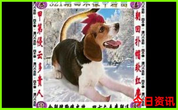 亲子旅游去哪里比较好